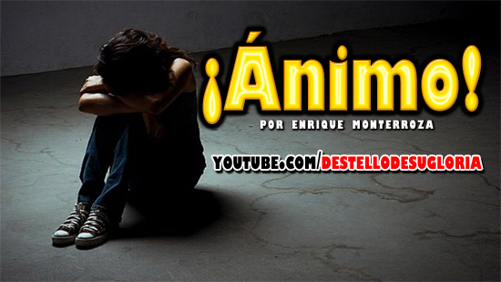 Animo-Audio-Reflexion
